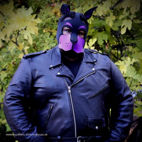 Calipup avatar