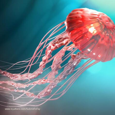 Submit to Fay’s Official Social Fan Page | LoyalFans