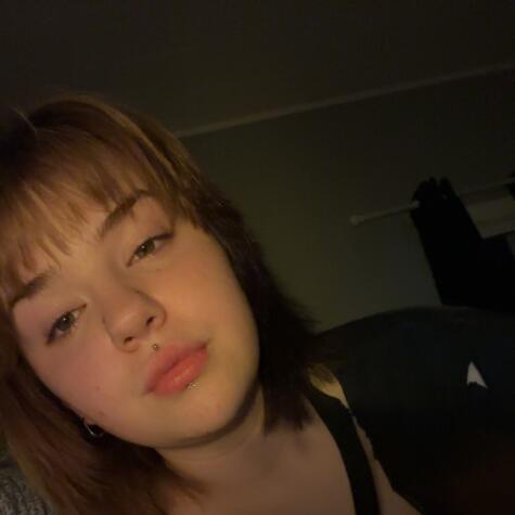 deewolfydee avatar