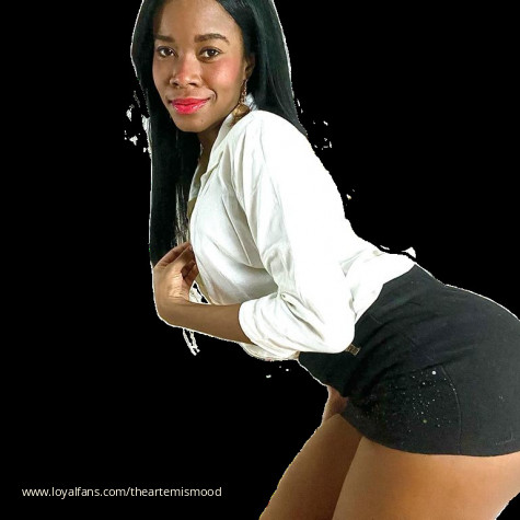 theARTEMISmoon avatar