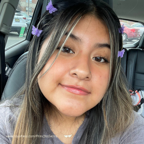 Princ3ssSierra avatar