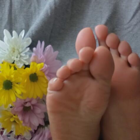 ms_honey avatar