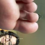 Your Queen Stella avatar