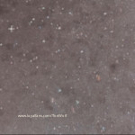 Cocolishious  avatar