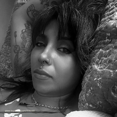 Velvet V avatar
