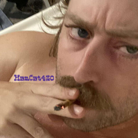 ManCat420 avatar