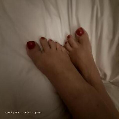ToetalyTempting avatar