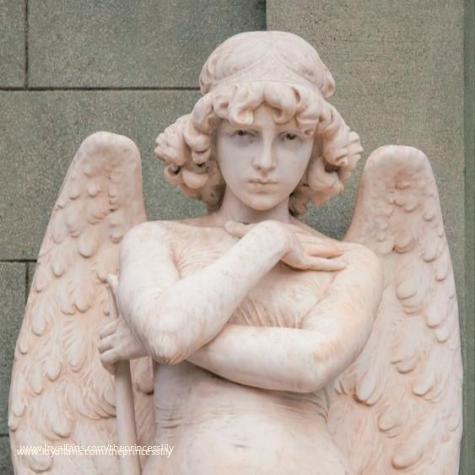 the princess lily avatar