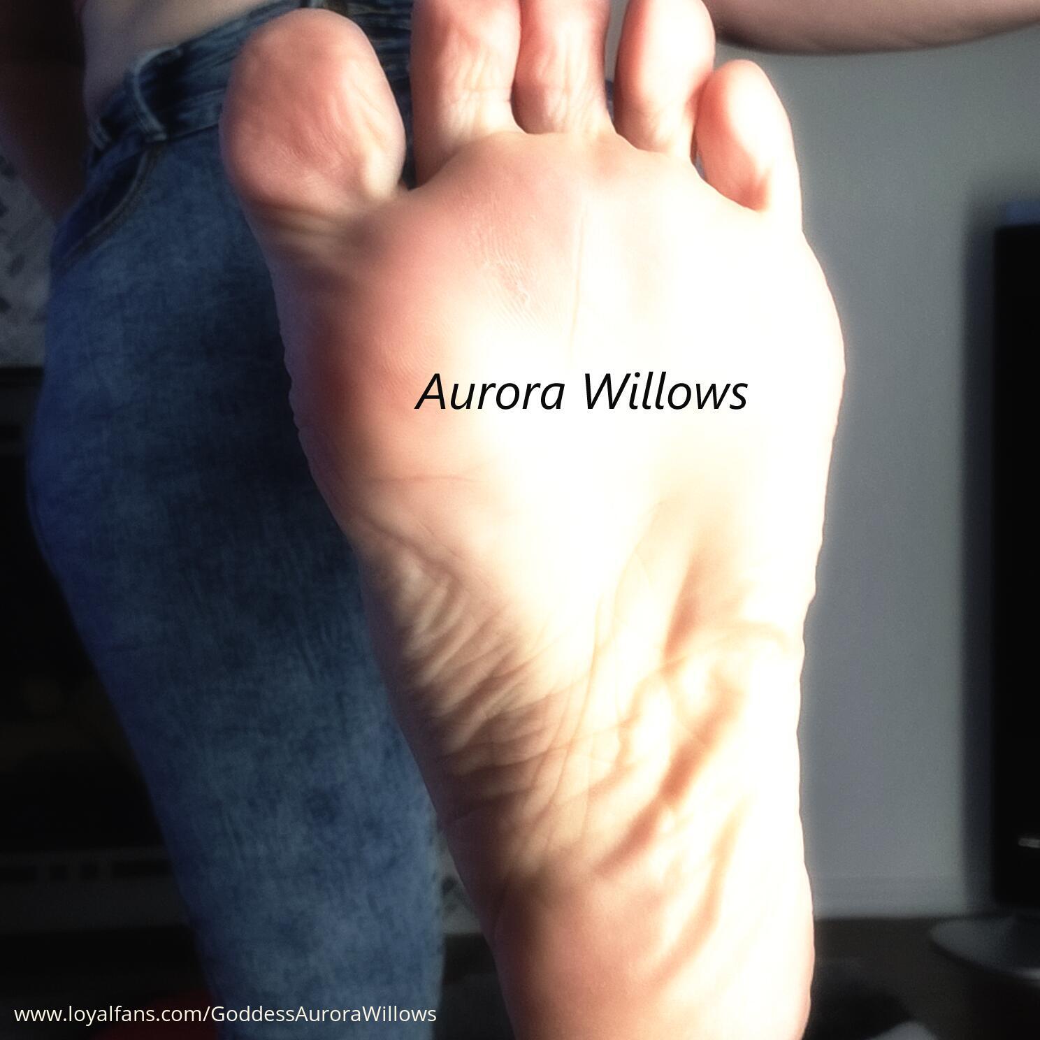 Findom Goddess Aurora Willows’s Official Social Fan Page LoyalFans