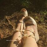 PetalSteps avatar