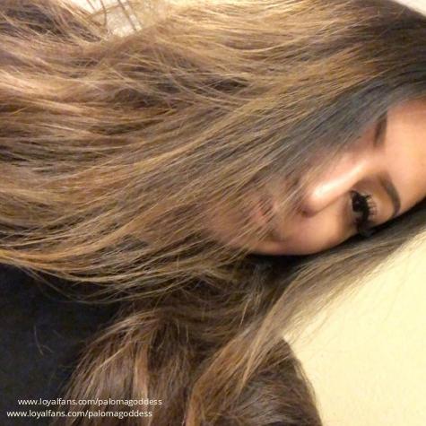 palomagoddess avatar