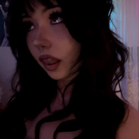 sienichole avatar