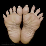 Madsoles avatar