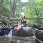 TheStriptress avatar