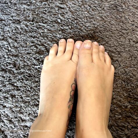 Goddess Ashlee1 avatar