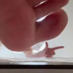 Femdom Lola avatar