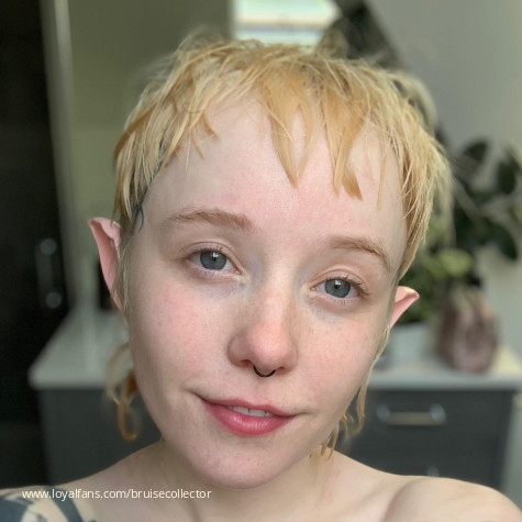 bruisecollector avatar