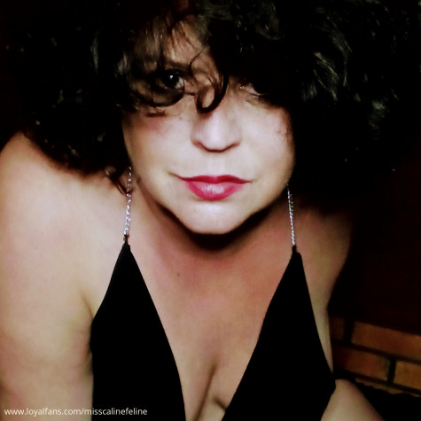 misscalinefeline avatar