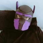 betapuppy avatar