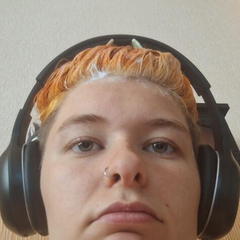 A Snails Daily Life avatar